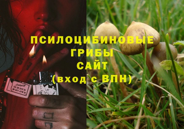 ECSTASY Нягань