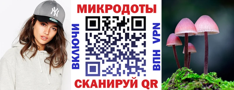 Галлюциногенные грибы GOLDEN TEACHER  mega онион  Новосибирск  где купить наркоту 